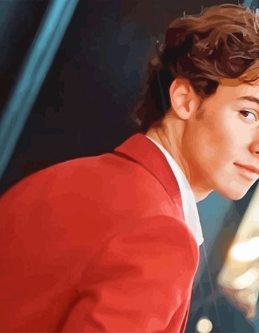 Shawn Mendes Charming Looks Paint By Numbers
