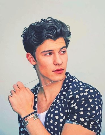Shawn Mendes Star Paint By Numbers
