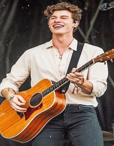Shawn Mendes Guitar Paint By Numbers
