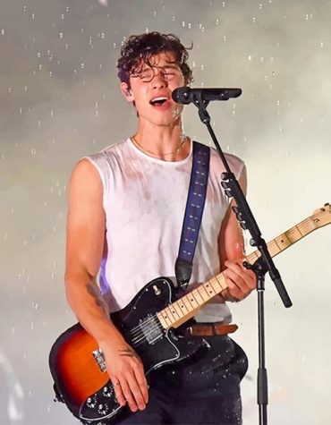 Shawn Mendes Guitar Paint By Numbers