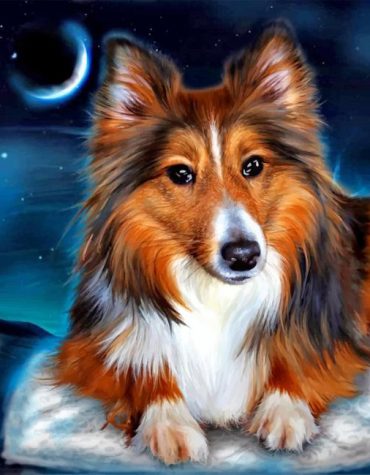 Sheltie Pet Painting Set Paint By Numbers