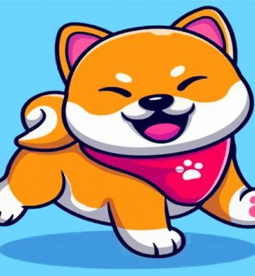 Shiba Inu Puppy Paint By Numbers