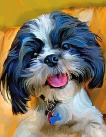 Shih Tzu Pet Paint By Numbers