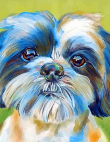 Shih Tzu Dog Paint By Numbers