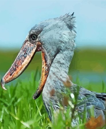 Majestic Shoebill Bird Paint By Numbers