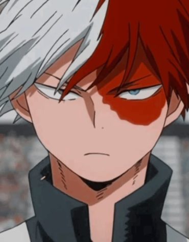 Shoto Todoroki My Hero Academia Paint By Numbers