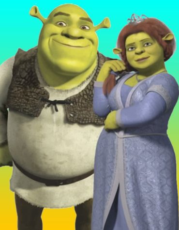 Shrek Fiona Adventure Paint By Numbers