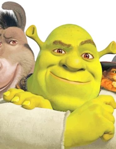 Shrek and Friends Cartoon Paint By Numbers