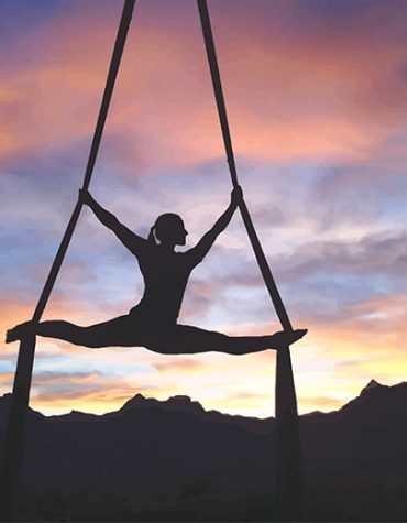 Female Aerialist Silhouette Paint By Numbers
