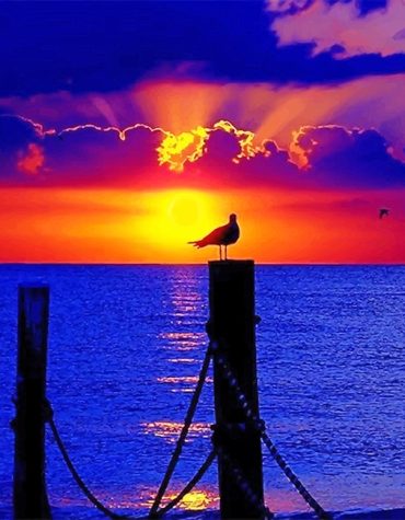 Purple Sunset Pigeon Paint By Numbers