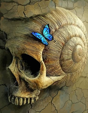 Blue Butterfly and Skull Paint By Numbers