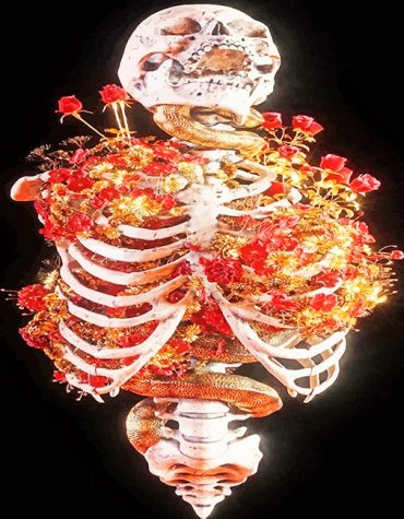 Floral Skull Art Paint By Numbers