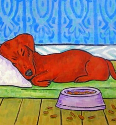 Snoozing Dachshunds Paint By Numbers