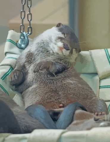 Sleepy Beaver Animals Paint By Numbers