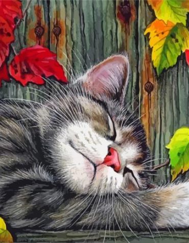 Sleepy Cat Animals Paint By Numbers