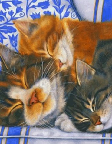 Sleepy Cats in Dreamland Paint By Numbers