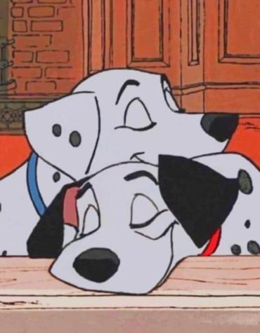 Dalmatian Dreams Paint By Numbers