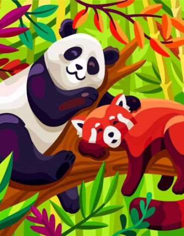 Sleepy Bears and Pandas Paint By Numbers