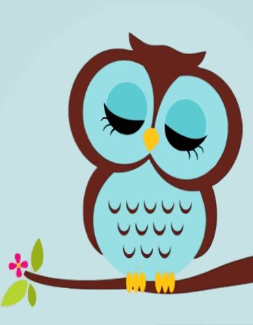 Sleepy Owl DIY Kit Paint By Numbers