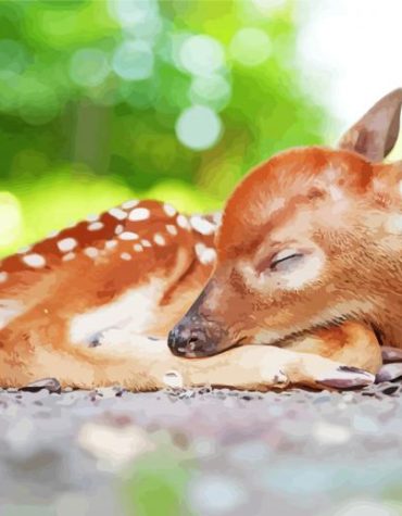 Resting Deer Paint By Numbers