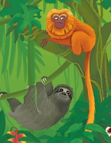 Monkeys and Sloths Paint By Numbers