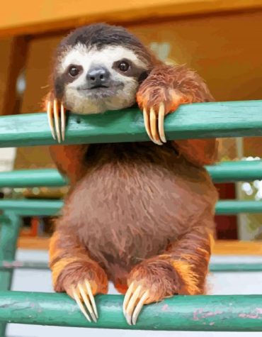 Sloth Wildlife Paint By Numbers