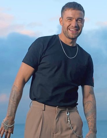 Charming Liam Payne Portrait Paint By Numbers