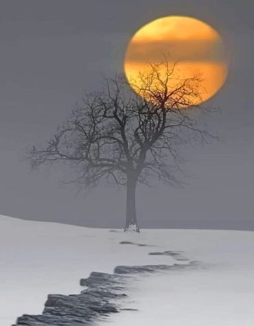 Snow Moon Landscape Paint By Numbers