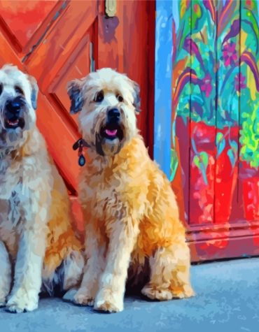 Wheaten Terrier Dog Paint By Numbers