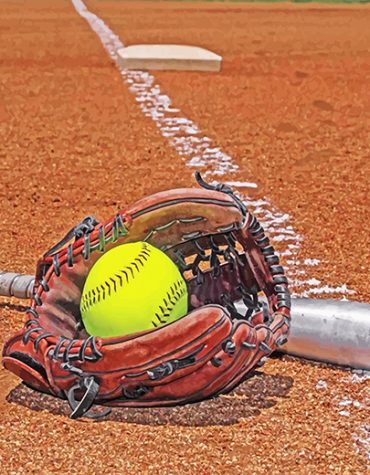 Softball Gloves and Balls Paint By Numbers