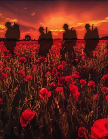 Red Poppy Field Soldiers Paint By Numbers