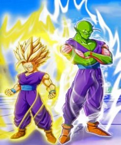 Dragon Ball Z Gohan and Piccolo Paint By Numbers