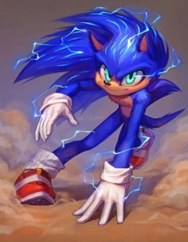 Sonic Animated Series Paint By Numbers