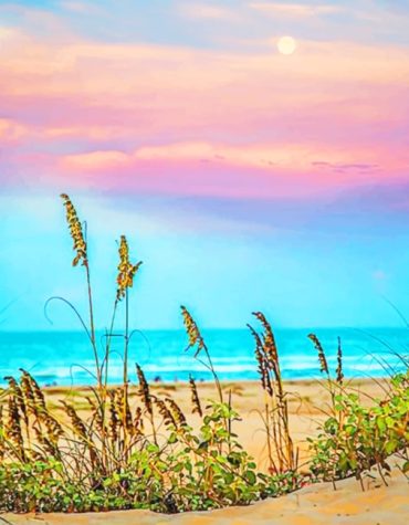 South Padre Sunset Paint By Numbers