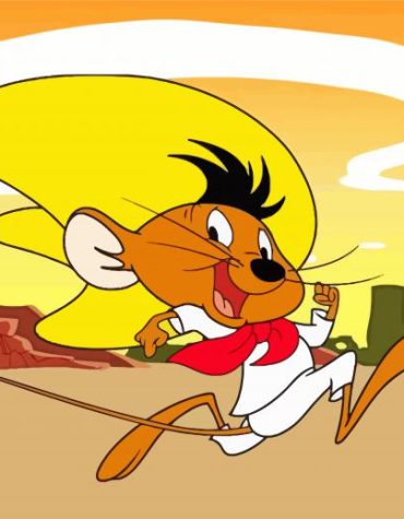 Speedy Gonzales Animation Paint By Numbers