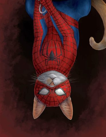 Spider Cat Superhero Paint By Numbers