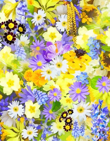 Spring Colorful Flowers Paint By Numbers