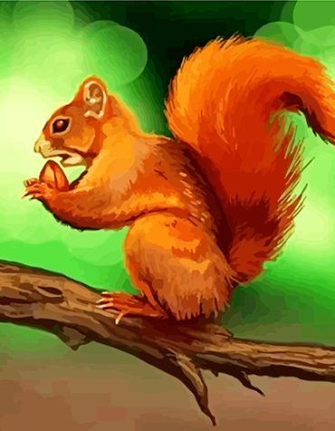 Majestic Squirrel Illustration Paint By Numbers