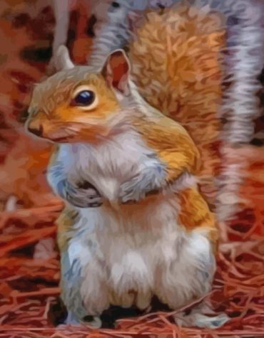 Lonely Squirrel Paint By Numbers