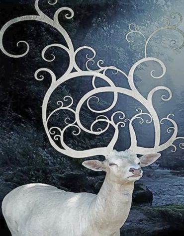 Majestic Stag Paint By Numbers