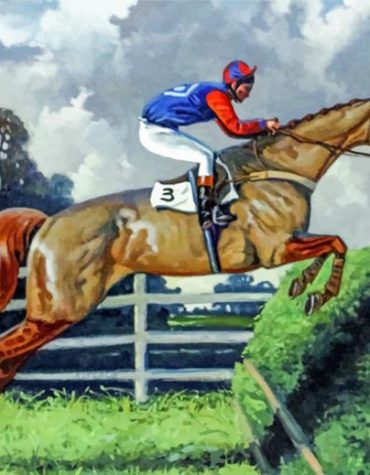 Steeplechase Racing Horse Paint By Numbers