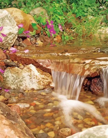 Nature's Waterfall Scene Paint By Numbers