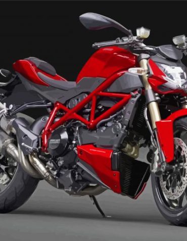 Streetfighter Motorcycle Engines Paint By Numbers