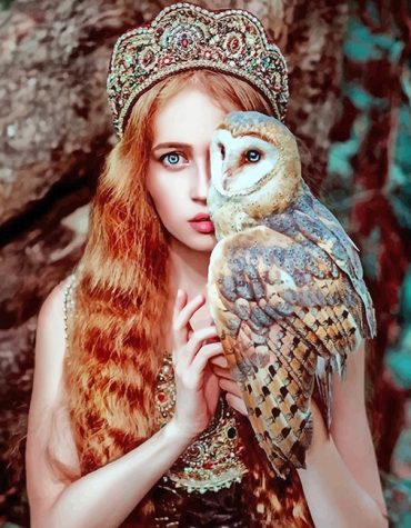 Stunning Girl with Long Hair and Owl Paint By Numbers