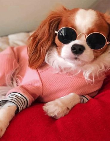 Charming Cavalier King Charles Paint By Numbers