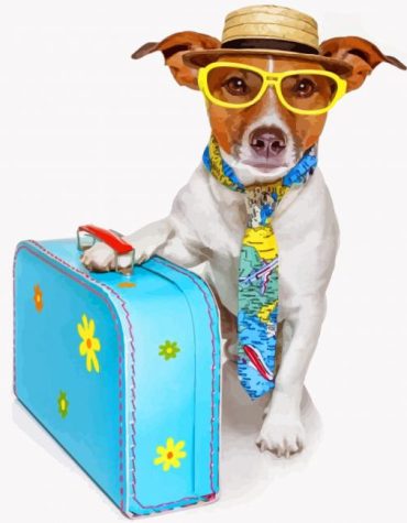 Stylish Dog Art Paint By Numbers