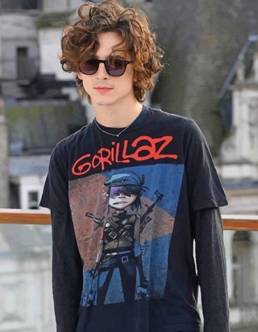 Timothee Chalamet Fashion Paint By Numbers