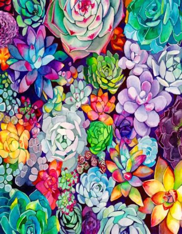 Colorful Succulents Paint By Numbers