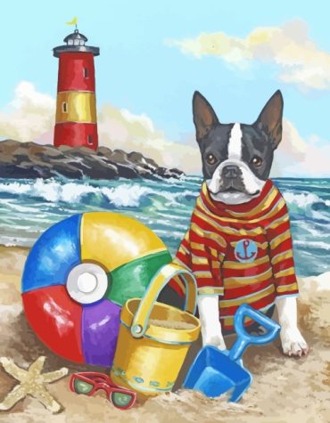 Summertime Boston Terrier Pets Paint By Numbers