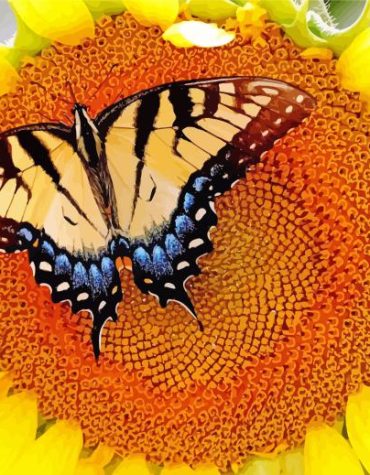 Orange Sunflower Butterfly Paint By Numbers